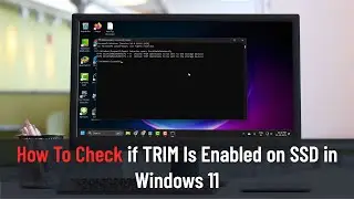How To Check if TRIM Is Enabled on SSD in Windows 11 (Tutorial)