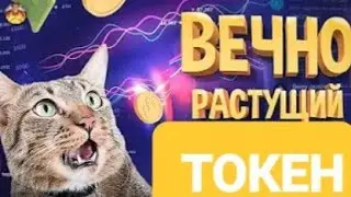 Управляемый смарт контракт с открытым кодом в сети BinanceSmart Chain