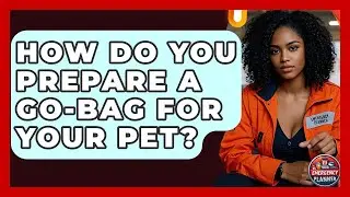 How Do You Prepare A Go-bag For Your Pet? - Your Emergency Planner