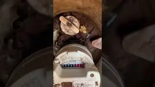 Reading your new water meter