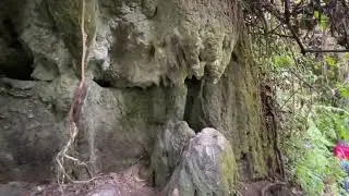 Nyakasura falls, Amabeere ga Nyina Mwiru caves and the picturesque crater lakes in Fort Portal, Ug