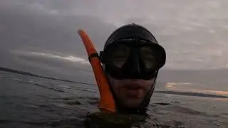 BC Freediving - White Rock BC