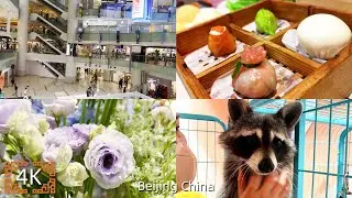Visit Beijing Xidan Joy City, the food and zoo in Xidan Joy City.游逛北京西单大悦城，西单大悦城的美食和动物园。