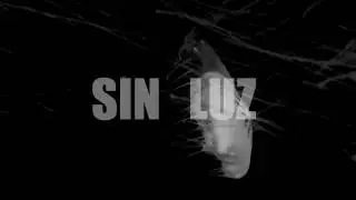 VIAJOUP - SIN LUZ