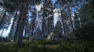 RUST TEST 1080p 60fps