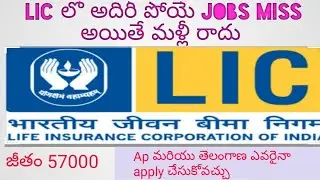LIC ASSISTANT NOTIFICATION 2020