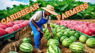 Exploring Caribbean Agriculture: Diverse Crops, Innovative Farmers & Rich Traditions
