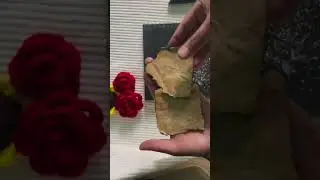 #diycardmaking #diy