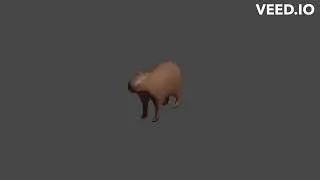 capybara spin . 2 capybara (Funkytown)