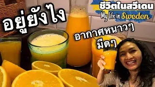 ทำไมเปลี่ยนรถบ่อย มีคนดูถูกว่ารถกระจอกมาก เล่าด้วยกินด้วย ตั้งแต่อาหารอีสาน ยังอาหารฝรั่ง