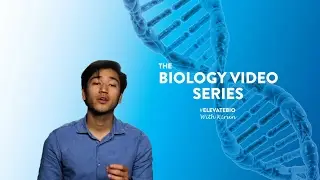 Elevate Education Live Stream