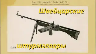Швейцарские штурмгеверы: начало. От 