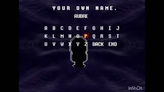 Recording of a weird version of deltarune in my brother's files-1