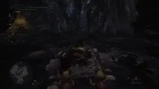 Temporal Mantle Bug