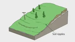 Evidence of a soil creep