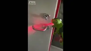 Dinosaur Water Spray Guns,Dinosaur Water Mist Spray Toy,with Lights and Sound,Summer Interactive Toy