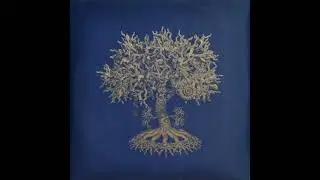 The SHAMEN &ndash; Arbor Bona Arbor Mala &ndash; 1995 &ndash; Full album &ndash; Vinyl