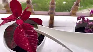 Spring day |relaxing vlog| Silent vlog|يوم ربيعي معي 🍃