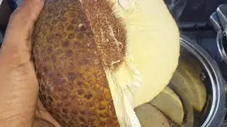 I Made Chips With This! Breadfruit Chips