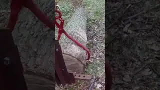 Skidding logs with a compact tractor.