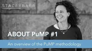 ABOUT PuMP: An Overview of the PuMP Performance Measure Methodology