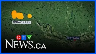 Concerns about plans to spray herbicide in Ottawa Valley