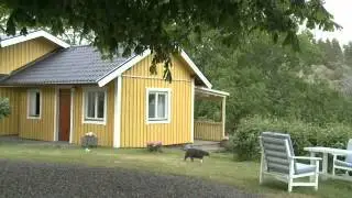 Stugor Vikbolandet Ljusk&ouml;ns Stugor