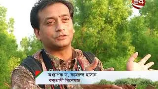 Banglar Ban Banglar Prani Ep 11 Teknaf  01