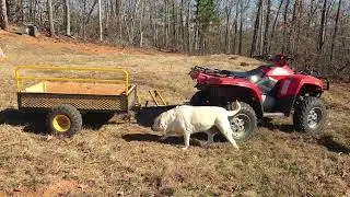 Polar HDM1400 trailer review