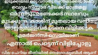 ഇടുക്കിയിൽ ഒരു നിസ്സാര വിലക്ക് രണ്ടേക്കർ സ്ഥലവും ഒരു വീടും വിൽപ്പനയ്ക്ക്