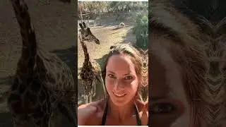 Dani Stamm Urlaub