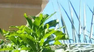 እክራም ሙሀመድ está en vivo