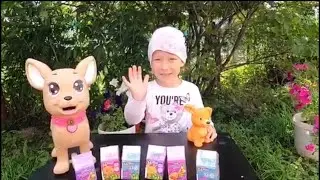 Shopkins! Открываем коробочки шопкинс с зверятами !