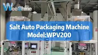 WPV200 Salt Packaging Machine &ndash; your smart solution for automatic salt packing!