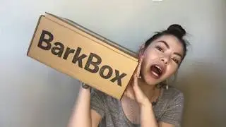 BARKBOX | July 2017
