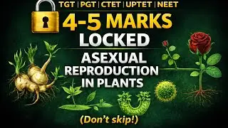 Asexual Reproduction in Plants -☘️| CTET UPTET TGT PGT NEET | Easy Biology with Rubal