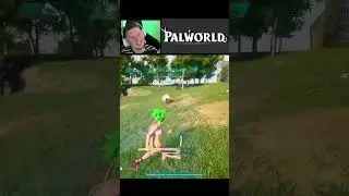 🤩 Первый Пал, Которого Я Поймал ∎ Palworld