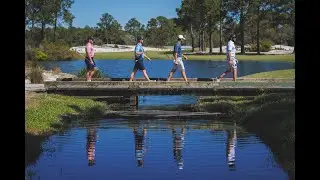 Hammer Back Golf - Banner Loop Video