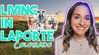 Living in Laporte Colorado