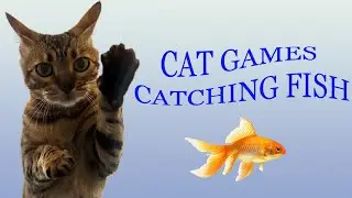 CAT GAMES   CATCHING FISH VIDEOS FOR CATS TO WATCH 4K
