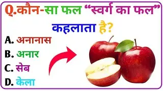 FRUITS & VEGETABLES GK QUIZ | New gk  General knowledge  Questions | G.K GYAN ACADEMY Daily GK QUIZ 