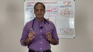 Gut Brain Hormonal Connection Introduction- Metabolism Made Easy