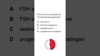 Подготовка к экзамену IGCSE Biology 0610, часть 2