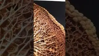 Knitted Copper Delicate Thread Artwork, exhibition @ BACC Bangkok, Thai Artist