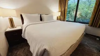 SPRINGHILL SUITES Asheville: King Suite (Asheville, NC Hotel)
