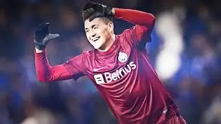 Nicol&aacute;s Castillo | All 14 Goals in 2014