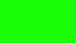 Green Screen Ready &ndash; 10 Minutes of Bright Green Color