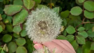 Just sharing with you