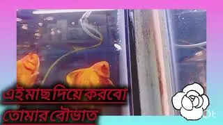 মাংসের চেয়ে এই মাছের দাম বেশি/turin entertainment bd#funny#entertainment#accurioum fish#