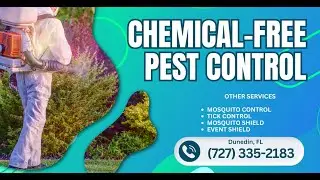 Chemical free pest control Dunedin, FL